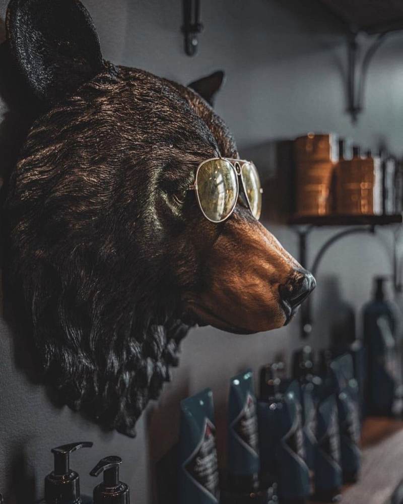 Inside The Cave lounge — the cave bear